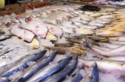 鯉魚(yú)價(jià)格翻倍,鯽魚(yú)上漲6元,草魚(yú)漲破10元 水產(chǎn)品市場(chǎng)咋回事