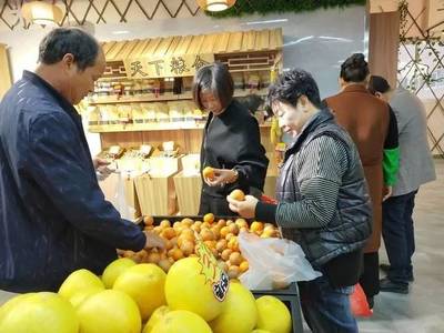 【喜訊】泰順鹿城山海協作農特產品直銷中心開業(yè)
