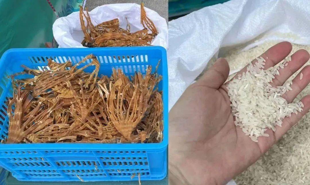綦江區(qū)2023年消費幫扶農副土特產品展會,今日好物推薦!