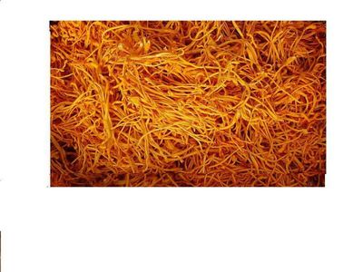 【大量供應(yīng)生態(tài)蔬菜蟲草花(黃金草)】價格_廠家 - 中國供應(yīng)商