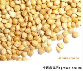 陽(yáng)原縣金弟農(nóng)副產(chǎn)品有限責(zé)任公司