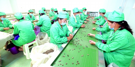 靈寶市某企業(yè)加工農(nóng)副產(chǎn)品出口日韓