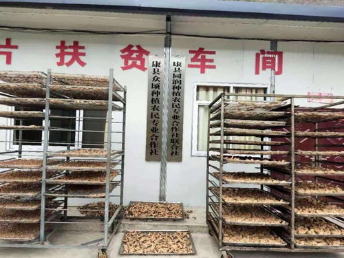 同潤種植農民專業合作社聯合社 抱團發展,促農增收