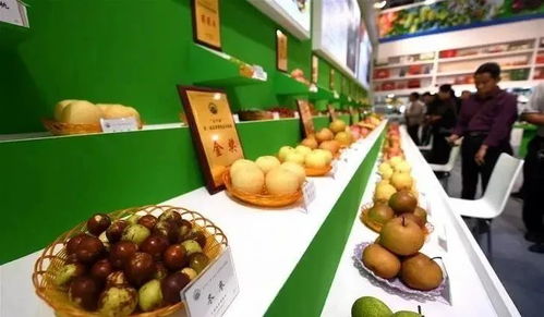 3月17日至19日,我們相約祁陽首屆油菜花節暨農副產品交易會