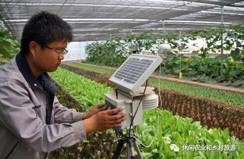 你想返鄉回鄉創業嗎 告訴你農業的六大創業方向